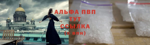 дмт Мегион