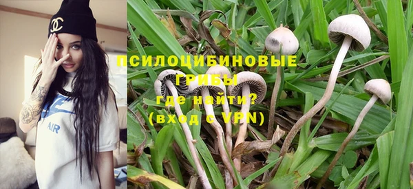 спиды Медногорск